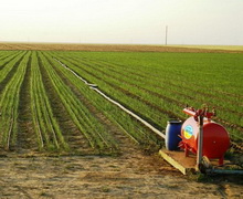 Після відкриття ринку землі в Україні ціна гектару протягом перших двох років може підскочити на 76%